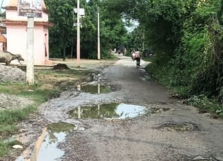 मन्नीटाड़ में सड़क जर्जर से ग्रामीणों को हादसे का डर:कई बार शिकायत के बाद भी सुनवाई नहीं, जलभराव से बढ़ रही परेशानी मन्नीटाड़ में सड़क जर्जर से ग्रामीणों को हादसे का डर:कई बार शिकायत के बाद भी सुनवाई नहीं, जलभराव से बढ़ रही परेशानी