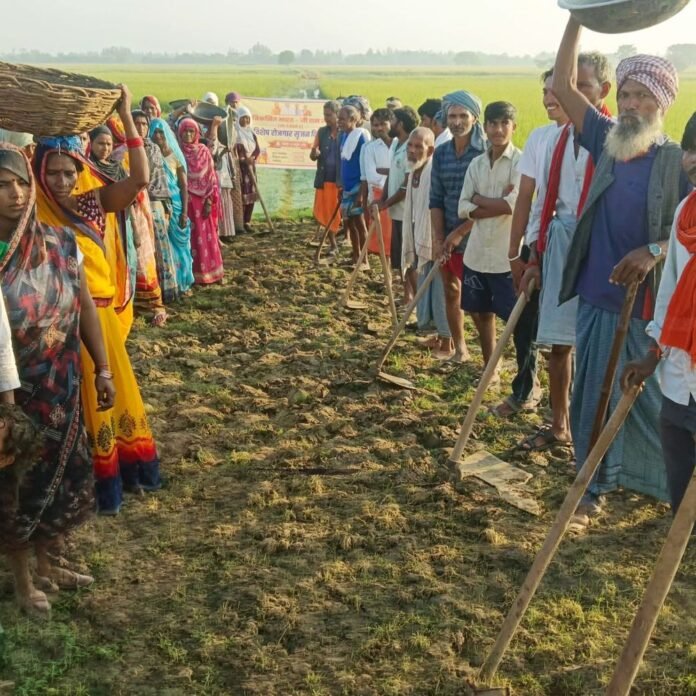 उल्लाहवा में खेत सड़क का काम जारी:विशेष रोजगार सृजन दिवस के तहत, ग्रामीणों को मिलेगा काम और कृषि को गति