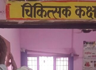 मल्हीपुर में गर्भवती महिलाओं की मुफ्त जांच:प्रधानमंत्री सुरक्षित मातृत्व अभियान में दवा-अल्ट्रासाउंड भी, सुरक्षित मातृत्व का संदेश