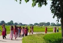खड़सरी मंदिर से निकली कलश यात्रा:डीजे पर नाचते बच्चों ने लगाए जय माता दी के नारे, मधुबेनिया गांव के नाले से भरा जल खड़सरी मंदिर से निकली कलश यात्रा:डीजे पर नाचते बच्चों ने लगाए जय माता दी के नारे, मधुबेनिया गांव के नाले से भरा जल