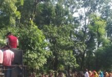 रायगंज में धूमधाम से निकली कलश यात्रा:व्यास जी के निर्देश पर ग्रामीणों ने बढ़-चढ़कर लिया हिस्सा, भक्तिमय हुआ माहौल रायगंज में धूमधाम से निकली कलश यात्रा:व्यास जी के निर्देश पर ग्रामीणों ने बढ़-चढ़कर लिया हिस्सा, भक्तिमय हुआ माहौल