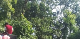 रायगंज में धूमधाम से निकली कलश यात्रा:व्यास जी के निर्देश पर ग्रामीणों ने बढ़-चढ़कर लिया हिस्सा, भक्तिमय हुआ माहौल रायगंज में धूमधाम से निकली कलश यात्रा:व्यास जी के निर्देश पर ग्रामीणों ने बढ़-चढ़कर लिया हिस्सा, भक्तिमय हुआ माहौल
