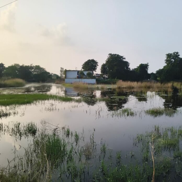 मनोरमा नदी का पानी गांवों तक पहुंचा:समय माता मंदिर का रास्ता डूबा, पोखरा-न्याकापार में आवागमन ठप