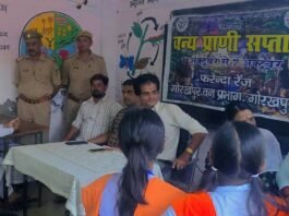 छात्राओं को वन्य जीवों से बचाव की जानकारी दी:बृजमनगंज के कस्तूरबा विद्यालय में वन्य प्राणी सप्ताह के तहत हुआ कार्यक्रम