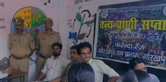 छात्राओं को वन्य जीवों से बचाव की जानकारी दी:बृजमनगंज के कस्तूरबा विद्यालय में वन्य प्राणी सप्ताह के तहत हुआ कार्यक्रम