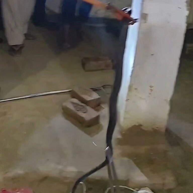 गंगापुर में घर के आंगन में निकला जहरीला कोबरा:वन विभाग की टीम ने सुरक्षित रेस्क्यू कर परिवार को दी राहत