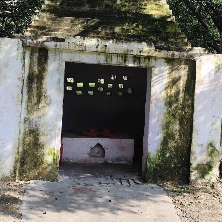 तुलसीपुर के प्राचीन शिव मंदिर के बेहतर निर्माण की मांग:राजमहल रोड पर स्थित मंदिर के विकास और सौंदर्यीकरण की मांग