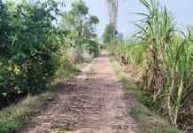 बस्ती में जर्जर सड़क से हजारों छात्रों को परेशानी:अरखापुर-चिलमा बाजार मार्ग पर गड्ढे, रामराज इंटर कॉलेज के छात्र भी प्रभावित
