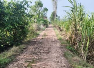 बस्ती में जर्जर सड़क से हजारों छात्रों को परेशानी:अरखापुर-चिलमा बाजार मार्ग पर गड्ढे, रामराज इंटर कॉलेज के छात्र भी प्रभावित