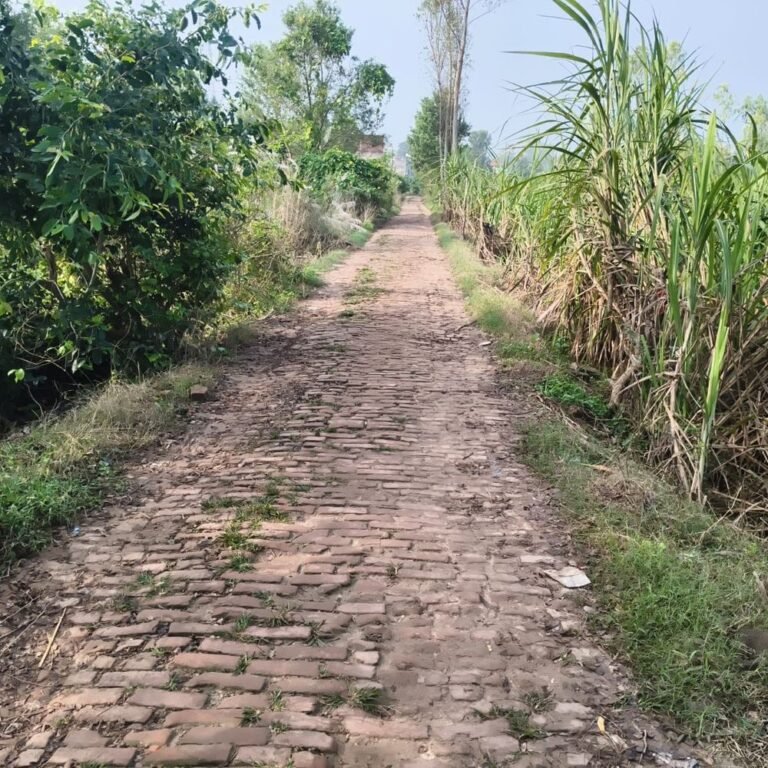 बस्ती में जर्जर सड़क से हजारों छात्रों को परेशानी:अरखापुर-चिलमा बाजार मार्ग पर गड्ढे, रामराज इंटर कॉलेज के छात्र भी प्रभावित