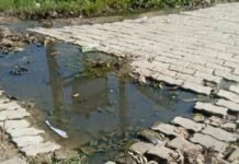 इमलिया गांव में जलभराव और गंदगी से ग्रामीण परेशान:मुख्य रास्तों पर गंदा पानी, टूटी सड़कें; बीमारियों का डर, प्रशासन से लगाई गुहार