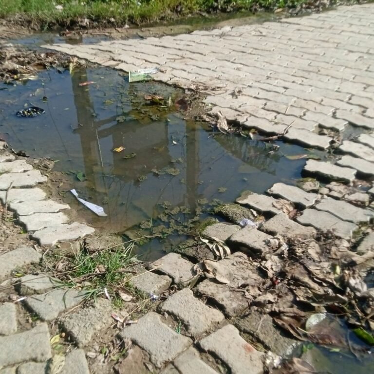 इमलिया गांव में जलभराव और गंदगी से ग्रामीण परेशान:मुख्य रास्तों पर गंदा पानी, टूटी सड़कें; बीमारियों का डर, प्रशासन से लगाई गुहार