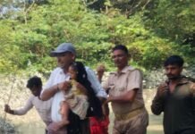 गंडक का डिस्चार्ज घटकर 1.19 लाख क्यूसेक:महराजगंज में बाढ़ प्रभावित गांवों को मिली राहत