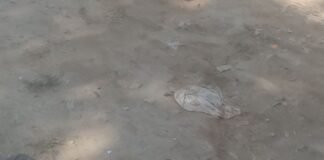 सोनवा में कच्चा मार्ग बारिश में कीचड़ से भरा रास्ता:लोगों को आने-जाने में परेशानी, बच्चे स्कूल नहीं जा पाते; बदबू और मच्छरों का प्रकोप