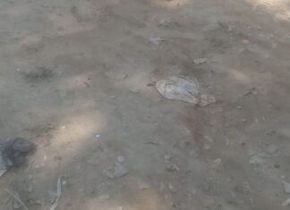 सोनवा में कच्चा मार्ग बारिश में कीचड़ से भरा रास्ता:लोगों को आने-जाने में परेशानी, बच्चे स्कूल नहीं जा पाते; बदबू और मच्छरों का प्रकोप