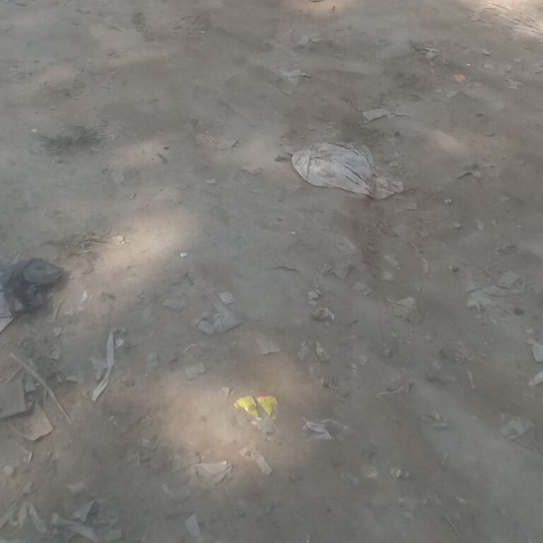 सोनवा में कच्चा मार्ग बारिश में कीचड़ से भरा रास्ता:लोगों को आने-जाने में परेशानी, बच्चे स्कूल नहीं जा पाते; बदबू और मच्छरों का प्रकोप