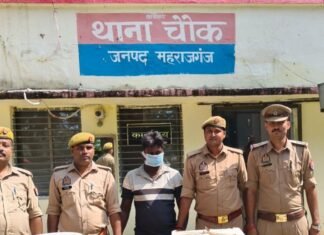 चोरी के मामले में आरोपी गिरफ्तार, घर से सामान बरामद:महराजगंज के खजुरिया गांव में 7-8 अक्टूबर की रात हुई थी चोरी; घर से मिला चोरी का पूरा सामान बरामद चोरी के मामले में आरोपी गिरफ्तार, घर से सामान बरामद:महराजगंज के खजुरिया गांव में 7-8 अक्टूबर की रात हुई थी चोरी; घर से मिला चोरी का पूरा सामान बरामद