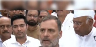 लोकतंत्र को नुकसान पहुंचाने वालों को बख्शा नहीं जाएगाः राहुल गांधी