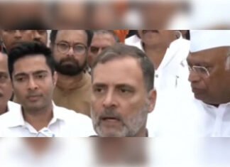 लोकतंत्र को नुकसान पहुंचाने वालों को बख्शा नहीं जाएगाः राहुल गांधी