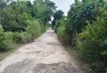 बस्ती में जर्जर सड़क पर गड्ढों से हादसे, लोग चोटिल:कप्तानगंज के विहरा गांव से महाराजगंज जाने वाली सड़क पर 20 गांवों के लोग परेशान