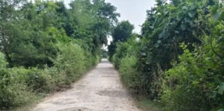 बस्ती में जर्जर सड़क पर गड्ढों से हादसे, लोग चोटिल:कप्तानगंज के विहरा गांव से महाराजगंज जाने वाली सड़क पर 20 गांवों के लोग परेशान