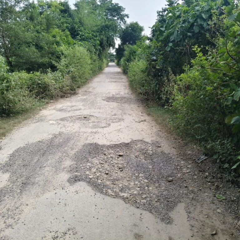 बस्ती में जर्जर सड़क पर गड्ढों से हादसे, लोग चोटिल:कप्तानगंज के विहरा गांव से महाराजगंज जाने वाली सड़क पर 20 गांवों के लोग परेशान