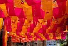 श्रावस्ती में शारदीय नवरात्र शुरू:सिरसिया क्षेत्र में मां शैलपुत्री की पूजा के साथ भक्तिमय हुआ माहौल, पंडाल सजने लगे श्रावस्ती में शारदीय नवरात्र शुरू:सिरसिया क्षेत्र में मां शैलपुत्री की पूजा के साथ भक्तिमय हुआ माहौल, पंडाल सजने लगे