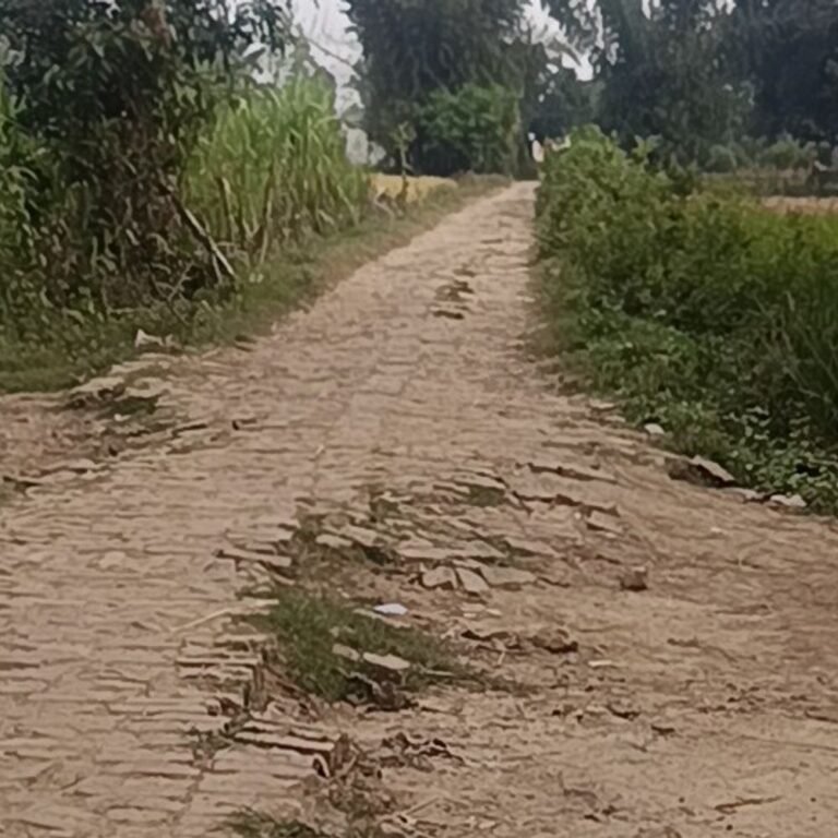 जगदीशपुर में पंचायत भवन के पास रास्ता जर्जर:ग्रामीणों ने मरम्मत की मांग की, पैदल चलने वालों, बुजुर्गों और बच्चों को आने-जाने में परेशानी