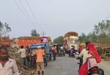 Bahraich Khairighat News | Imamganj Road Encroachment Timber Loading Issue सड़क पर लकड़ी लोडिंग, प्रतिबंधित कारोबार का आरोप। - Dainik Bhaskar