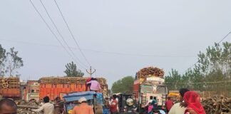 Bahraich Khairighat News | Imamganj Road Encroachment Timber Loading Issue सड़क पर लकड़ी लोडिंग, प्रतिबंधित कारोबार का आरोप। - Dainik Bhaskar