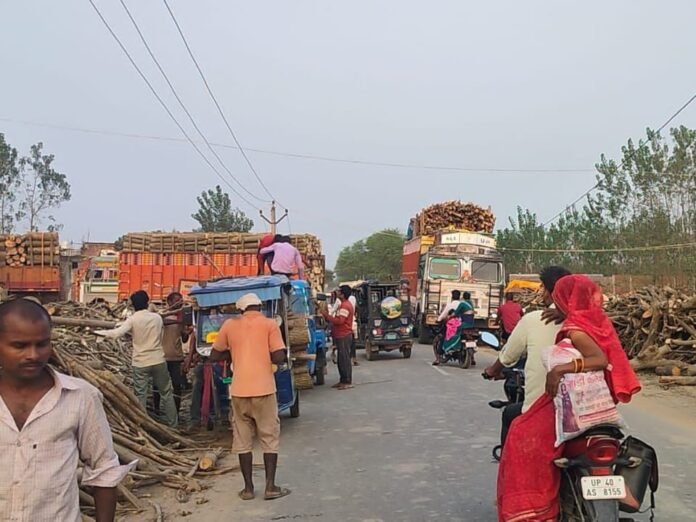 सड़क पर लकड़ी लोडिंग, प्रतिबंधित कारोबार का आरोप। - Dainik Bhaskar
