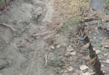श्रावस्ती के रामपुर कटेल में रास्ता पूरी तरह क्षतिग्रस्त:खड़ंजे उखड़े, ग्रामीणों को आने-जाने में परेशानी; प्रधान ने जल्द ठीक कराने का दिया भरोसा
