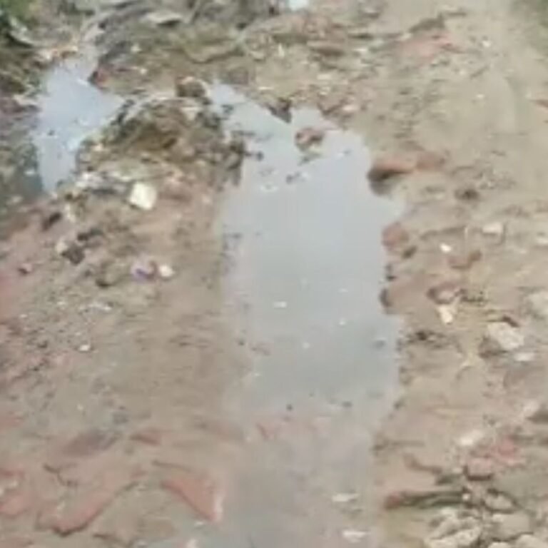 मुजहना में वर्षों पुराना खड़ंजा मार्ग जर्जर:ग्रामीणों को आने-जाने में दिक्कत, मरम्मत की अपील