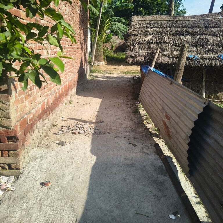 दादर गांव में रास्ते पर इंटरलॉकिंग का काम शुरू:बरसात में आने-जाने की परेशानी कम करने के लिए प्रधान करा रहे काम