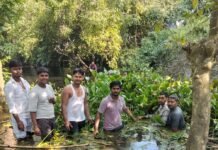 ग्रामीणों ने मछुई नदी की सफाई का बीड़ा उठाया:बस्ती में अस्तित्व बचाने के लिए खुद आगे आए, कई गांवों के लोग करते हैं मूर्ति विसर्जन ग्रामीणों ने मछुई नदी की सफाई का बीड़ा उठाया:बस्ती में अस्तित्व बचाने के लिए खुद आगे आए, कई गांवों के लोग करते हैं मूर्ति विसर्जन