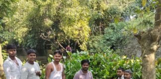 ग्रामीणों ने मछुई नदी की सफाई का बीड़ा उठाया:बस्ती में अस्तित्व बचाने के लिए खुद आगे आए, कई गांवों के लोग करते हैं मूर्ति विसर्जन ग्रामीणों ने मछुई नदी की सफाई का बीड़ा उठाया:बस्ती में अस्तित्व बचाने के लिए खुद आगे आए, कई गांवों के लोग करते हैं मूर्ति विसर्जन