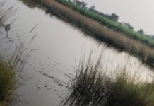 पितृविसर्जन के लिए नहर में गया 18 वर्षीय युवक डूबा:बहराइच के हूसेपुर गांव की घटना; चार बहनों का इकलौता भाई था पितृविसर्जन के लिए नहर में गया 18 वर्षीय युवक डूबा:बहराइच के हूसेपुर गांव की घटना; चार बहनों का इकलौता भाई था