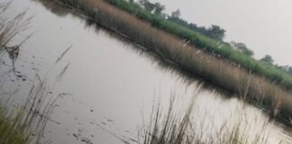 पितृविसर्जन के लिए नहर में गया 18 वर्षीय युवक डूबा:बहराइच के हूसेपुर गांव की घटना; चार बहनों का इकलौता भाई था पितृविसर्जन के लिए नहर में गया 18 वर्षीय युवक डूबा:बहराइच के हूसेपुर गांव की घटना; चार बहनों का इकलौता भाई था