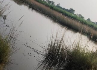 पितृविसर्जन के लिए नहर में गया 18 वर्षीय युवक डूबा:बहराइच के हूसेपुर गांव की घटना; चार बहनों का इकलौता भाई था पितृविसर्जन के लिए नहर में गया 18 वर्षीय युवक डूबा:बहराइच के हूसेपुर गांव की घटना; चार बहनों का इकलौता भाई था