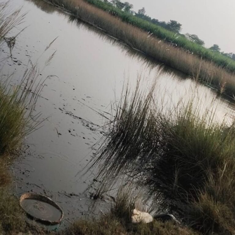 पितृविसर्जन के लिए नहर में गया 18 वर्षीय युवक डूबा:बहराइच के हूसेपुर गांव की घटना; चार बहनों का इकलौता भाई था