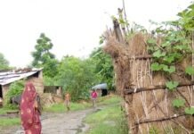 लोहारनपुरवा में 8 माह से नाली साफ नहीं:गंदगी और जलभराव से ग्रामीण परेशान; सफाईकर्मी पर लापरवाही का आरोप, बीमारी का डर