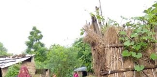 लोहारनपुरवा में 8 माह से नाली साफ नहीं:गंदगी और जलभराव से ग्रामीण परेशान; सफाईकर्मी पर लापरवाही का आरोप, बीमारी का डर