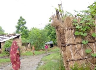लोहारनपुरवा में 8 माह से नाली साफ नहीं:गंदगी और जलभराव से ग्रामीण परेशान; सफाईकर्मी पर लापरवाही का आरोप, बीमारी का डर