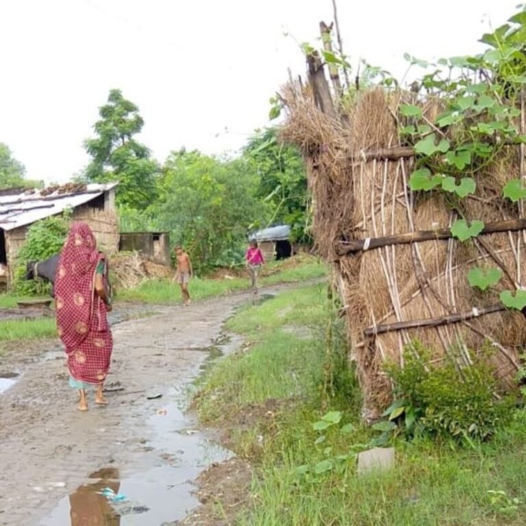 लोहारनपुरवा में 8 माह से नाली साफ नहीं:गंदगी और जलभराव से ग्रामीण परेशान; सफाईकर्मी पर लापरवाही का आरोप, बीमारी का डर