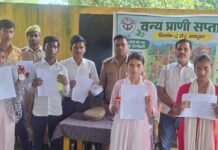 करकदरी रेंज में वन्यजीव सप्ताह के तहत चित्रकला-निबंध प्रतियोगिता:आयोजित, वन दरोगा विवेक श्रीवास्तव ने विजेताओं को पुरस्कार दिए