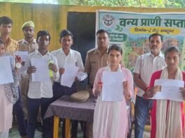 करकदरी रेंज में वन्यजीव सप्ताह के तहत चित्रकला-निबंध प्रतियोगिता:आयोजित, वन दरोगा विवेक श्रीवास्तव ने विजेताओं को पुरस्कार दिए