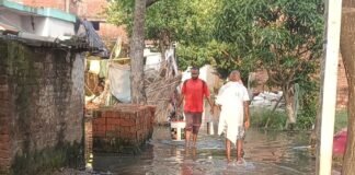 महराजगंज की दलित बस्ती में जलभराव से दिक्कतें:सड़क पर पानी जमा होने से आवागमन मुश्किल, बीमारी का डर