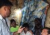 दुबौलिया में संगठन ने जरूरतमंद परिवार की मदद:राष्ट्रीय सूचनाधिकार संगठन के पदाधिकारियों ने किया सहयोग दुबौलिया में संगठन ने जरूरतमंद परिवार की मदद:राष्ट्रीय सूचनाधिकार संगठन के पदाधिकारियों ने किया सहयोग