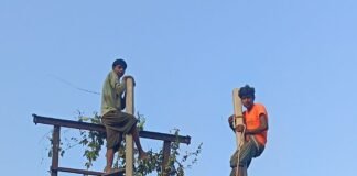 गिलौला में 10 दिन से बिजली गुल:सैकड़ों पोल टूटने और 33 केवी लाइन में फॉल्ट से मरम्मत में लग रहा समय, लोग जनरेटर से मोबाइल चार्ज कर रहे
