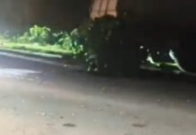 खड़े ट्रक में कंटेनर ने मारी टक्कर, युवक की मौत:नानपारा के पास बहराइच-लखीमपुर हाईवे पर हादसा, पुलिस ने शव पोस्टमार्टम को भेजा